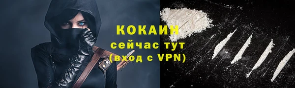 кокс Вяземский