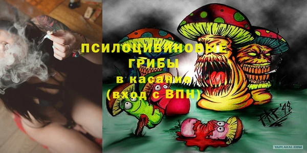 гашик Волосово