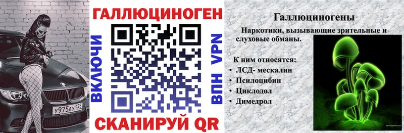 Купить где Богородск Галлюциногенные грибы Psilocybe